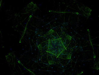 Similar image 21875798