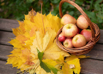 Similar image 21856748