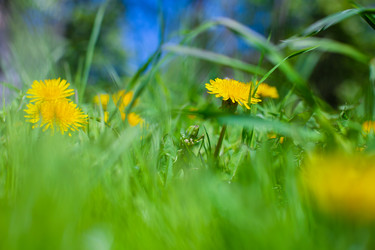 Similar image 21856751