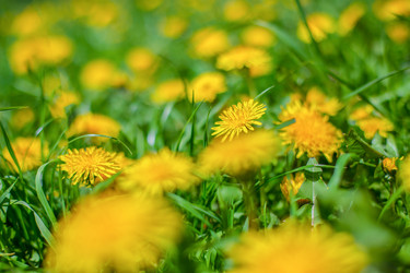 Similar image 21856757