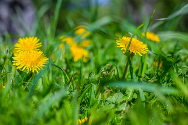 Similar image 21856758