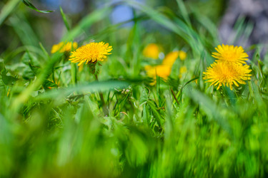 Similar image 21856759