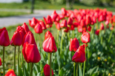 Similar image 21856819