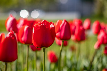 Similar image 21856820