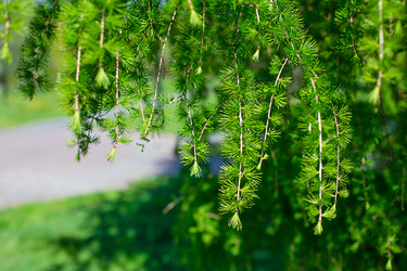 Similar image 21856822