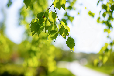 Similar image 21856824