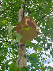 Similar image 21857368