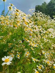 Similar image 21857371