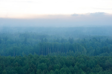 Similar image 21857635