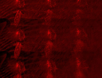 Similar image 21876668