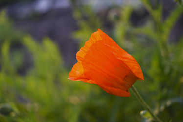 Similar image 21857036