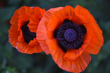 Similar image 21857037