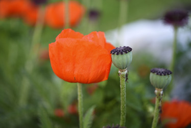 Similar image 21857038