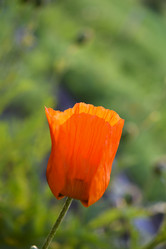 Similar image 21857039