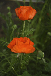 Similar image 21857040