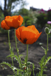 Similar image 21857045