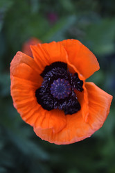 Similar image 21857046