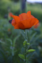 Similar image 21857047