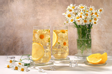 Similar image 21856828