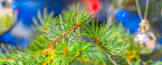 Similar image 21858661