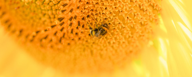 Similar image 21858663