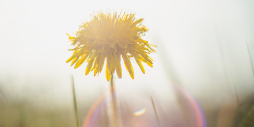 Similar image 21858664