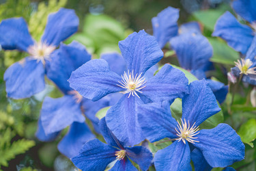 Similar image 21858665