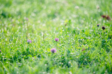 Similar image 21858666