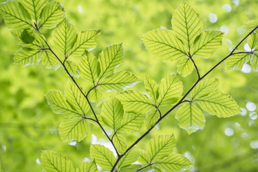 Similar image 21858668