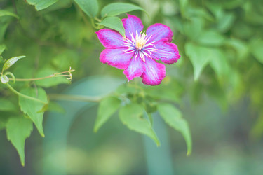 Similar image 21858669