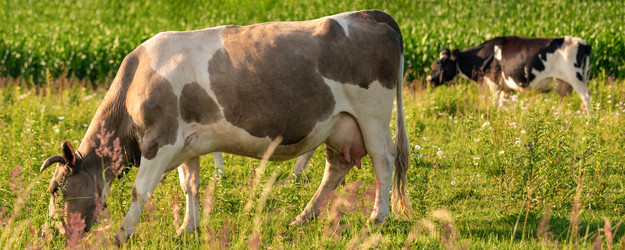 Similar image 21858672