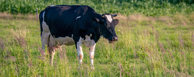 Similar image 21858673