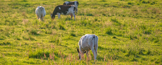 Similar image 21858674