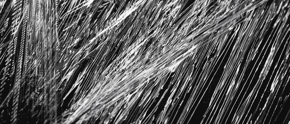 Similar image 21858684