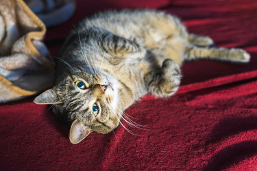 Similar image 21858686