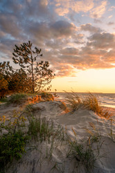 Similar image 21858687