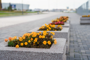 Similar image 21858688