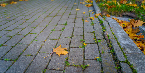 Similar image 21858690