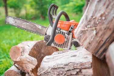 Similar image 21858693