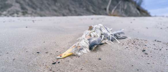 Similar image 21858696