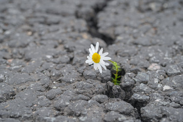 Similar image 21858697