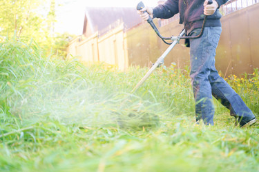 Similar image 21858698