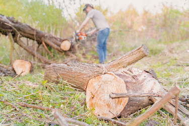 Similar image 21858699