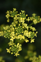 Similar image 21857056