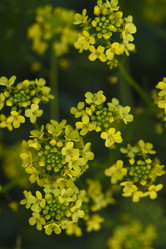 Similar image 21857058