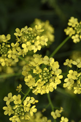 Similar image 21857060