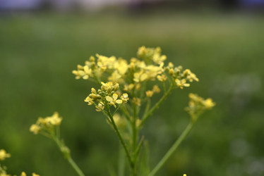 Similar image 21857062