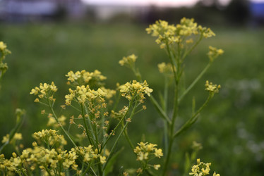 Similar image 21857063