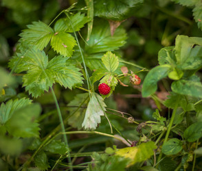 Similar image 21857154