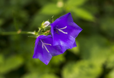 Similar image 21857155